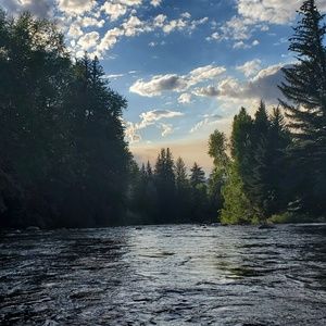 Meet your Posher, Daisy